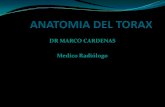 Anatomia Radiologica Del Torax (1)