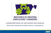 SUBSECRETARÍA DE RECURSOS NATURALES Dirección General de Agricultura y Ganadería.