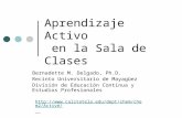 Aprendizaje Activo en la Sala de Clases Bernadette M. Delgado, Ph.D. Recinto Universitario de Mayagüez División de Educación Continua y Estudios Profesionales.