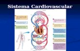 Sistema Cardiovascular. Introducción Todas las células corporales deben recibir constantemente oxigeno y substancias nutritivas y el sistema circulatorio.