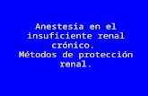 Anestesia en el insuficiente renal crónico. Métodos de protección renal.
