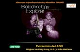 Extracción del ADN Original de Essy Levy, M.S. y Julie Mathern Alianza para el Aprendizaje de Ciencias y Matemáticas (AlACiMa)