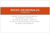 CIMEPB - Centro de Procesos Básicos, Metodología y Educación Facultad de Psicología – U.N.M.D.P. En base a A Practical Guide to Neural Nets M. Nelson y.
