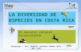 LA DIVERSIDAD DE ESPECIES EN COSTA RICA Un recurso natural incalculable Elaborado : MSc. ROBERTO CÉSPEDES PORRAS DRTE-MEP 2008.