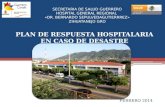SECRETARIA DE SALUD GUERRERO HOSPITAL GENERAL REGIONAL «DR. BERNARDO SEPULVEDAGUTIERRREZ» ZIHUATANEJO GRO FEBRERO 2014.