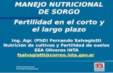 MANEJO NUTRICIONAL DE SORGO Fertilidad en el corto y el largo plazo Ing. Agr. (PhD) Fernando Salvagiotti Nutrición de cultivos y Fertilidad de suelos EEA.