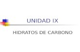 UNIDAD IX HIDRATOS DE CARBONO. Hidratos de Carbono También se denominan Carbohidratos o Azúcares. Están compuestos por elementos de Carbono, Hidrógeno.