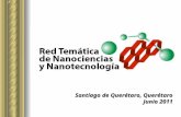 Santiago de Querétaro, Querétaro Junio 2011. ÍNDICE  Antecedentes  Comité Técnico Académico  Líneas temáticas  Miembros de la Red por Institución.