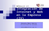 Integración de Internet y Web en la Empresa (IV) MÓDULO VI Antonio Mora García Universidad de Granada amorag@geneura.ugr.es.