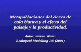 Metapoblaciones del ciervo de cola blanca y el efecto del paisaje y la productividad. Autor: Steven Walter Ecological Modelling 143 (2001)