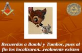Recuerdas a Bambi y Tambor, pues al fin los localizaron...realmente existen.