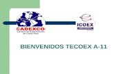 BIENVENIDOS TECOEX A-11. Curso de Especialización. Técnico en Comercio Exterior. Facilitador: Lic. Hubert Cordero Vargas hcconsultoriacr@gmail.com.