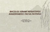 BACILOS GRAM NEGATIVOS ANAEROBIOS FACULTATIVOS Presentado por: Johanna Ramírez Duque Mayo del 2002.