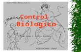 Control Biologico Ingº Jorge E. Bardales Manrique.