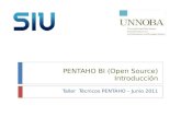 PENTAHO BI (Open Source) Introducción Taller Técnicos PENTAHO – Junio 2011.