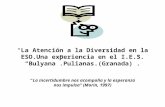 La Atención a la Diversidad en la ESO.Una experiencia en el I.E.S. Bulyana.Pulianas.(Granada). La incertidumbre nos acompaña y la esperanza nos impulsa.