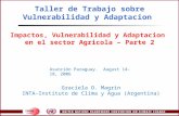 Taller de Trabajo sobre Vulnerabilidad y Adaptacion Impactos, Vulnerabilidad y Adaptacion en el sector Agricola – Parte 2 Asunción Paraguay. August 14-18,