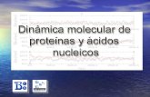 Clase 6: Detalles de la simulación SANDER EstructuraParámetros LEaP NMR, X-Ray,...QM, crystal data, experiments,... nucgen ( Construcción de ác. nucléicos.
