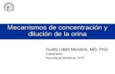 Mecanismos de concentración y dilución de la orina Guido Ulate Montero, MD, PhD Catedrático Escuela de Medicina. UCR.