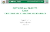 CAPITULO 1 Antecedentes DIA 3-1 SERVICIO AL CLIENTE PARA CENTROS DE ATENCIÓN TELEFONICA MANUAL DE USUARIO SERVICIO A LA CLIENTE.