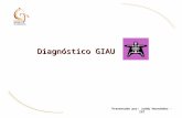 Diagnóstico GIAU Presentado por: Joddy Hernández - IGT.