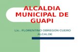 ALCALDIA MUNICIPAL DE GUAPI Lic.. FLORENTINO OBREGON CUERO ALCALDE.