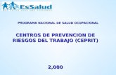 PROGRAMA NACIONAL DE SALUD OCUPACIONAL CENTROS DE PREVENCION DE RIESGOS DEL TRABAJO (CEPRIT) 2,000.