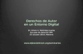 Derechos de Autor en un Entorno Digital Dr. Hiram A. Meléndez Juarbe Escuela de Derecho UPR 22 octubre 2014, Palermo .