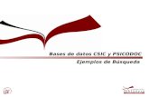 Bases de datos CSIC y PSICODOC Ejemplos de Búsqueda.