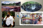 Exosición laudo chevron texaco contra la república del ecuador