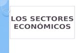 Los sectores económicos 10°