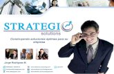 Brochure Strategic Solutions 2013