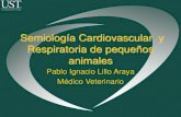 Semiologia Cardiología Veterinaria