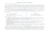 Pompas de jabon (folleto).pdf