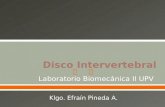 02 Disco Intervertebral
