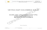 FIN-IN-17_GUIA DE USUARIO SAP PS PRESUPUESTO Y MODIFICACIONES.doc