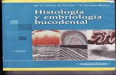 Histología y embriologia Bucodental