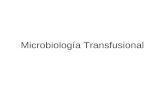 Microbiología Transfusional