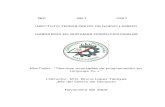 Tecnicas Avanzadas de Programacion en Lenguaje C++ (Manual)