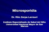 Microsporidia Fin