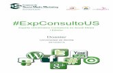 Dossier Experto Universitario Consultoría en Social Media - SmmUS - Universidad de Sevilla