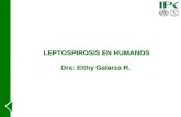 Leptospirosis humana   2013