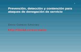 Prevención, detección y contención de ataques de denegación de servicio