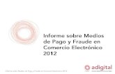 Informe sobre Medios de Pago y Fraude en Comercio Electrónico 2012