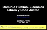 Dominio Público, Copyleft, y Usos Justos (2012-01-19)