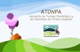 Dossier ATONPA 2014