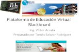 Plataforma blackboard en la educacion proyecto final t salazar