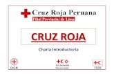 Charla Introductoria en Cruz Roja