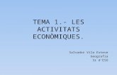 Tema 1.  Les activitats econòmiques.