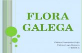 Flora galega 2014